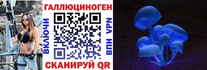 MEGA ссылки  Сегежа  Галлюциногенные грибы Psilocybe 